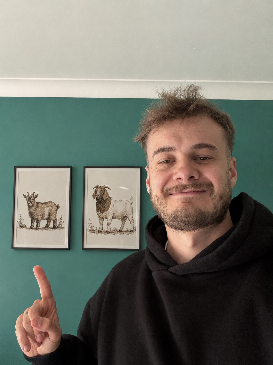 Goat Illustrations