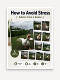 Stressful Goose Pack